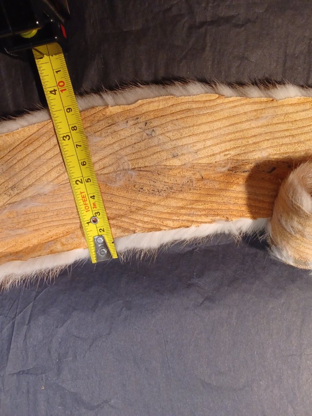 Pieces of Scrap Fur - Mink - Great For Small Projects - Picture 7 of 14
